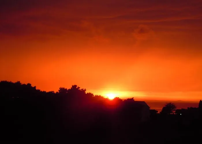 Apartments And A Room Ina 3*