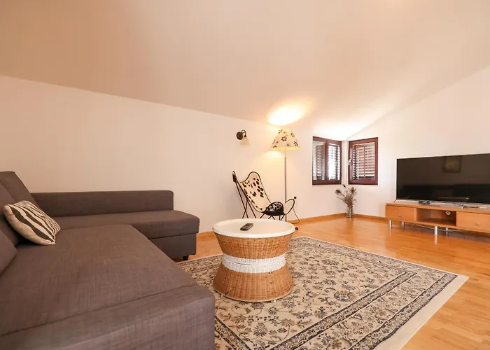 Apartments And A Room Ina Guest house